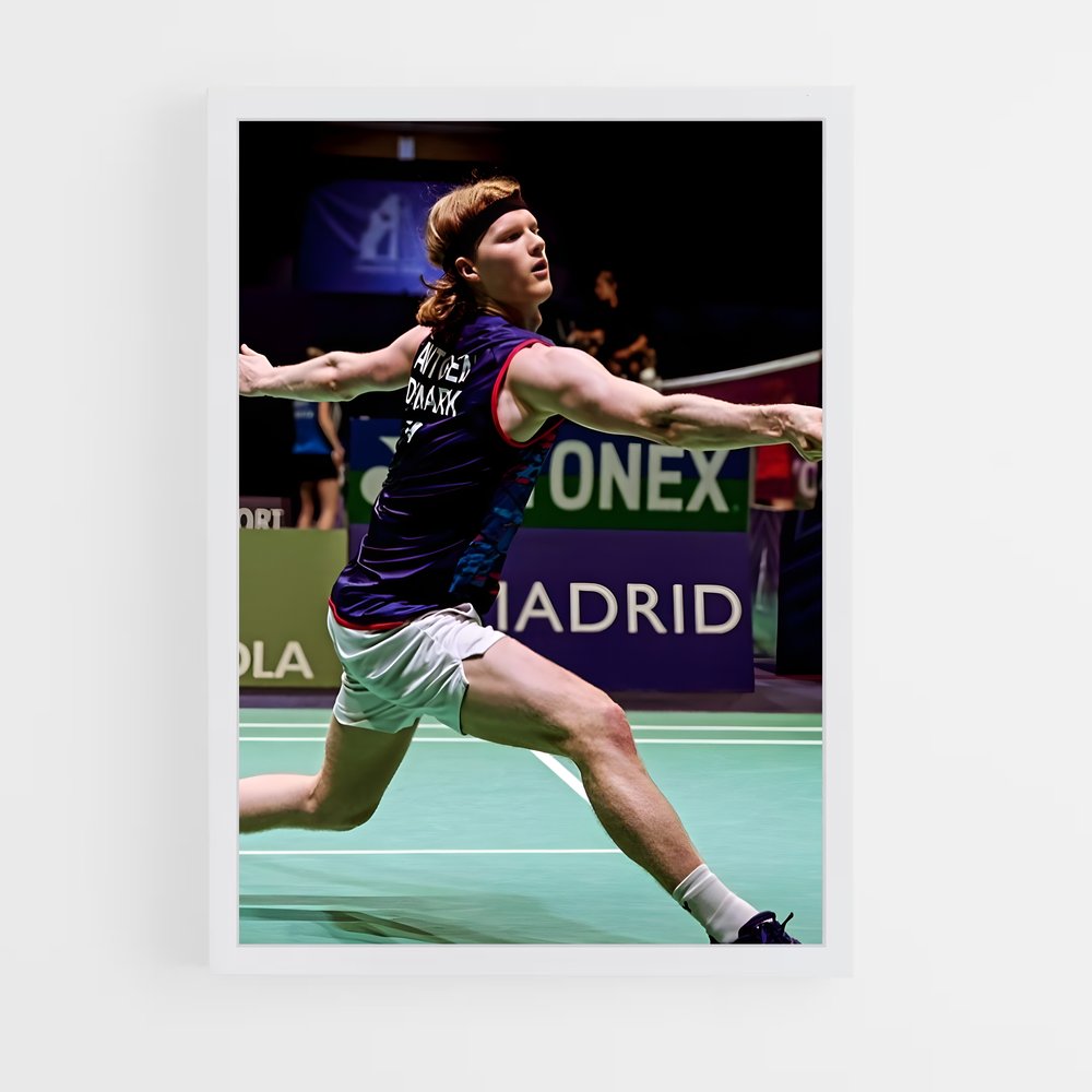 Poster Badminton Fever (vue 3)